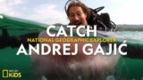 Everything you wanted to learn about sharks! | National Geographic Kids