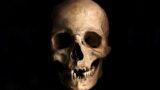 Skull and Bones Mini Series – Part One